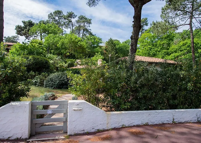 Villa Spacieuse à Arcachon, Proche De Pereire, Jardin Arcachon